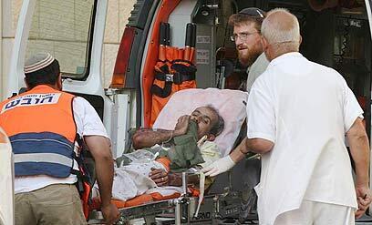 צילום: חיים צח