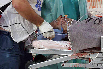 צילום: חיים צח