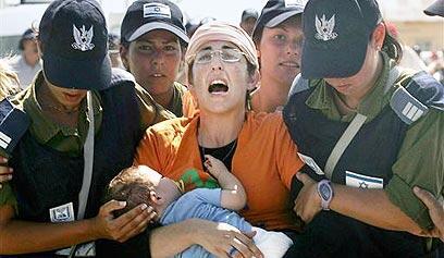 צילום: איי פי