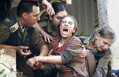 צילום: חגי אהרון