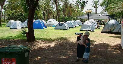 צילום: אבי כהן