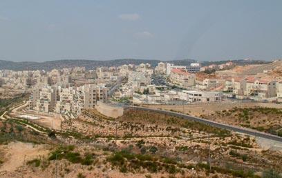 צילום: דורון שפר