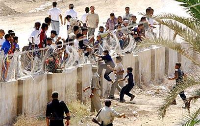 צילום: איי פי