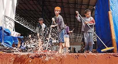 צילום: אמיר כהן