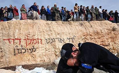 צילום: אמיר כהן