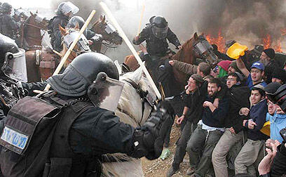 צילום: גיל יוחנן