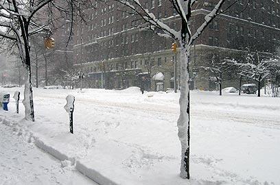 צילום: רעות חפץ