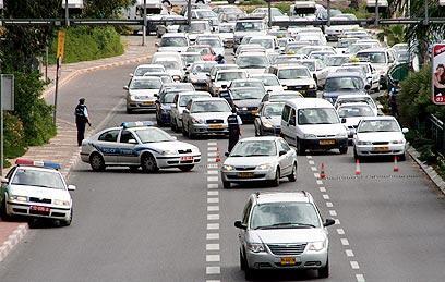 צילום: עופר עמרם