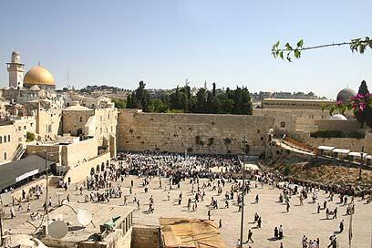 צילום: רון פלד