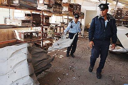 צילום: אמיר כהן