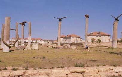 צילום: יעקב סער, לע"מ