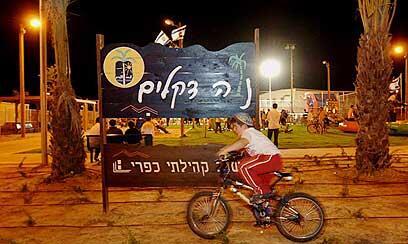 צילום: אמיר כהן