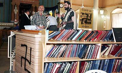 צילום: עופר עמרם