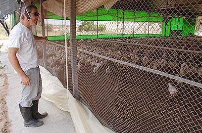 צילום: אמיר כהן
