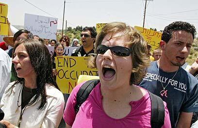 צילום: איי אף פי