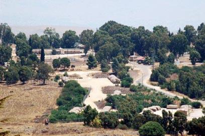 צילום: ניב קלדרון