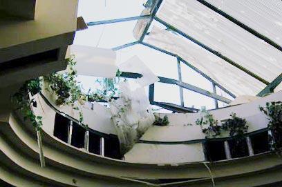 צילום: ניב קלדרון