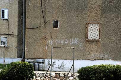 צילום: אלינור מילצ'ן