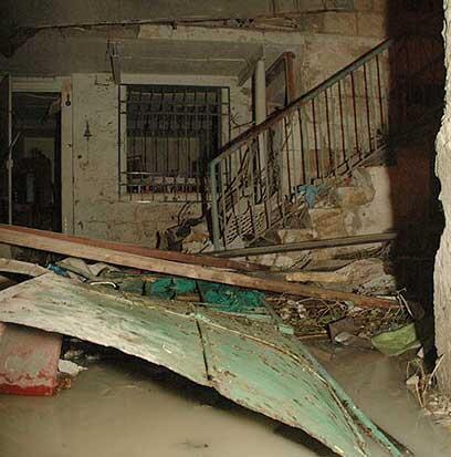 צילום: מיק גורדון