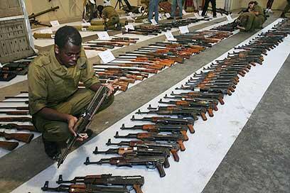 צילום: עופר עמרם