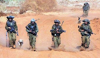 צילום: איי אף פי