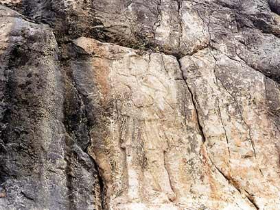 צילום: זיו לנצ'נר