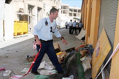 צילום: עופר עמרם