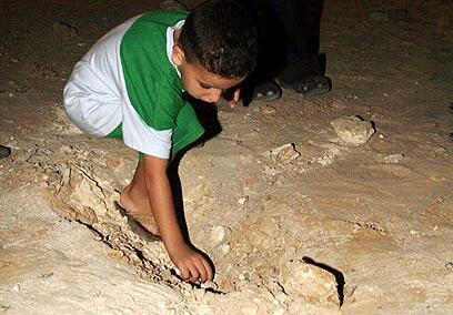 צילום: צפריר אביוב