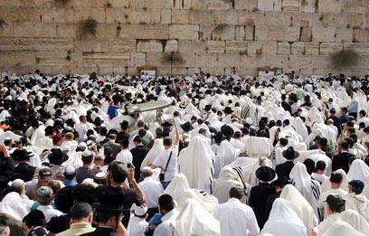 צילום: גיל יוחנן