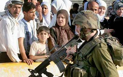 צילום: רויטרס