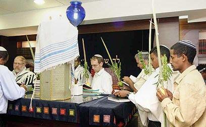 צילום: ישראל סאן / הסוכנות היהודית