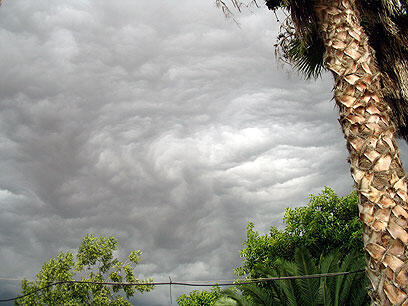 צילום: נטע בציר סלע