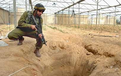 צילום: איי פי