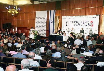 צילום: עופר עמרם