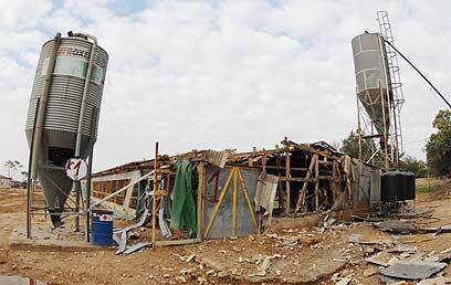 צילום: אמיר כהן