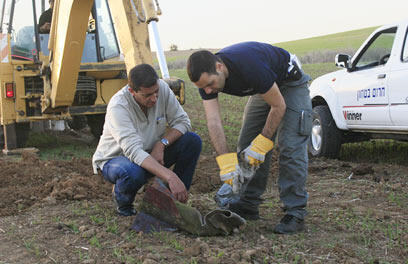 צילום: צפריר אביוב