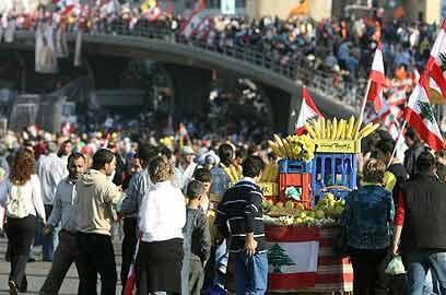 צילום: איי אף פי