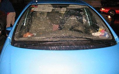 צילום: ראיי בראונשטיין