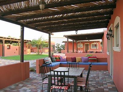 צילום: ניל עוזר