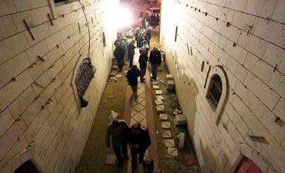 צילום: גיל יוחנן