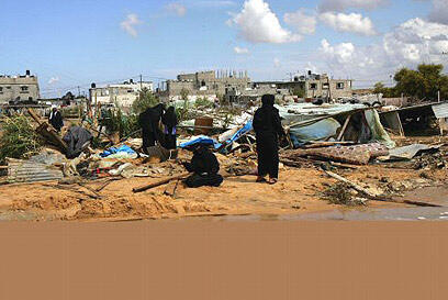 צילום: איי אף פי