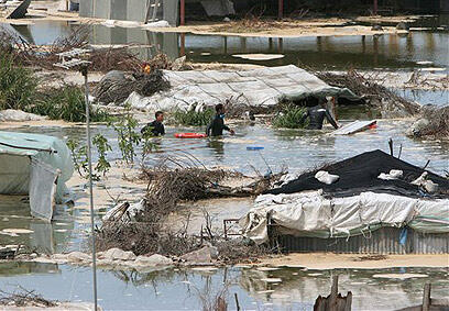 צילום: איי פי