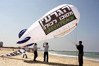 צילום: עופר עמרם