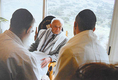 צילום רפרודוקציה: ירון ברנר