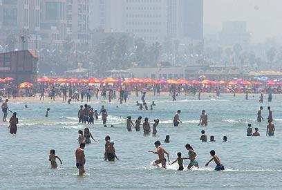 צילום: גלעד קוולרצ'יק