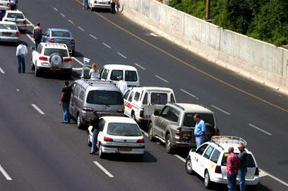צילום: עופר עמרם