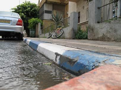 צילום: נ.ב. סימון