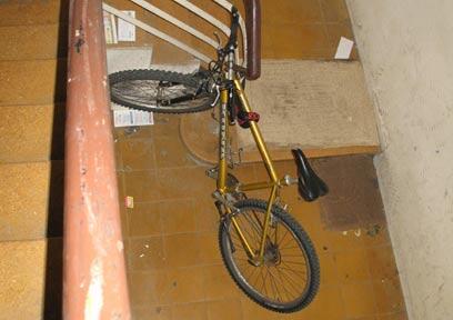 צילום: נ.ב. סימון