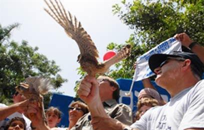 צילום: ירון ברנר