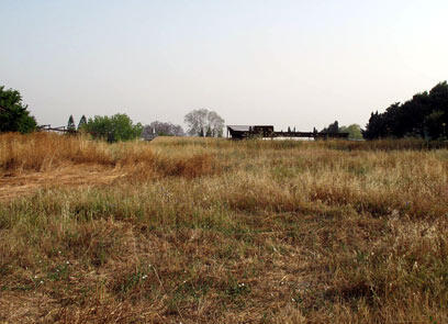 צילום: מרב נתן